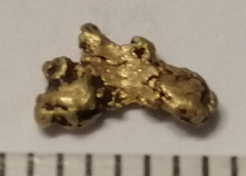 Goldnugget barren gold - goldnugget,