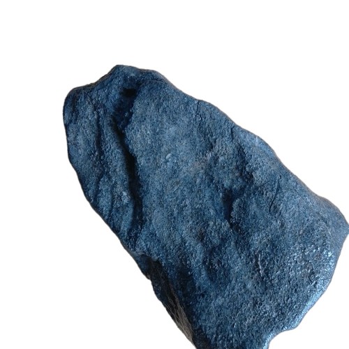 Fossil