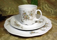 Rosenthal MONBIJOU Grüne