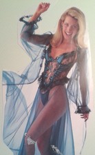 Babydoll,Negligee,sheer
