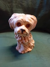 Seltener rauchverzehrer hund - rauchverzehrer,,