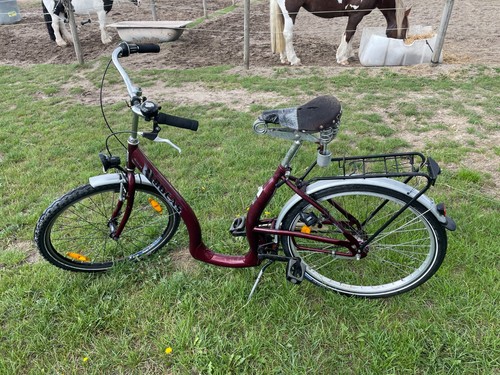 Fahrrad mit tiefeinstieg - fahrrad,