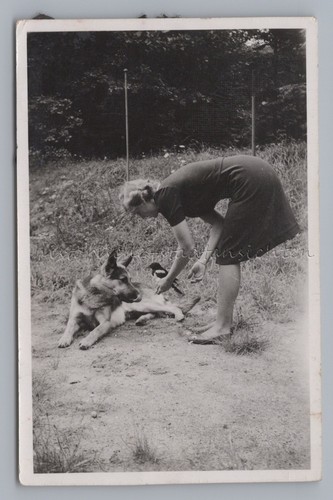 Junge frau mit schäferhund - frau,