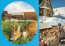 Ansichtskarte St. Wilhelmer