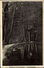 Malente Gremsmühlen 1930 gelaufen nach Garstedt Forellenteich Teich Baum Botanik
