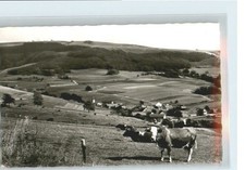 Wasserkuppe Rhoen Wasserkuppe