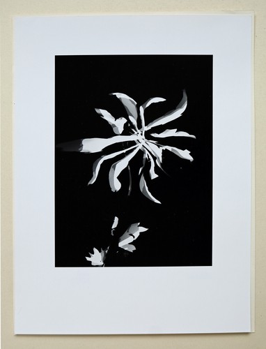 Lászlo moholy nagy - lászlo, moholy-nagy