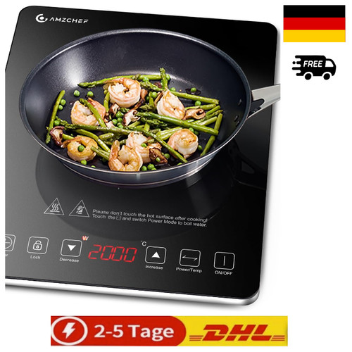 Induktionskochfeld platte - induktionskochfeld, 1