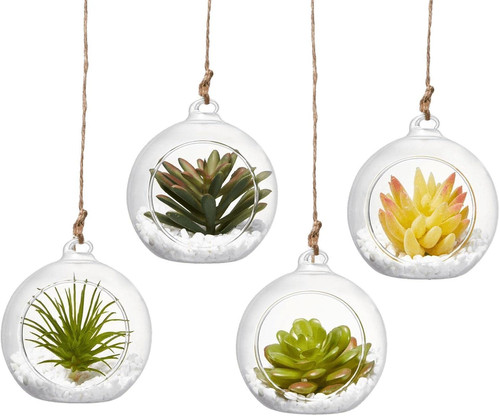 Glas terrarium zum aufhängen - zum,