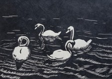 Schwäne Albert Windisch Expressionist Holzschnitt Frankfurt