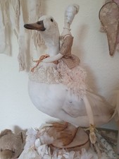 Taxidermie Traumhafte