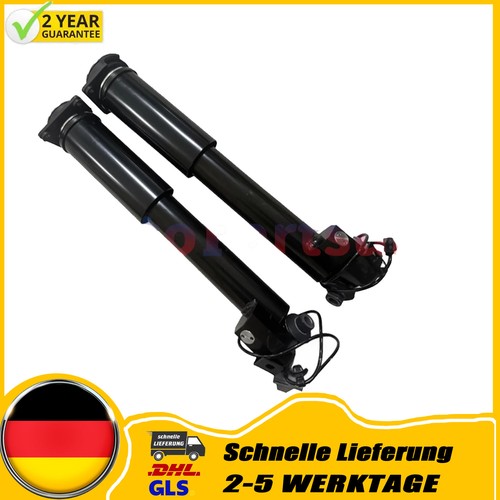 Stoßdämpfer hinterachse - 2x,