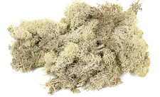 50g Islandmoos Natur DIY
