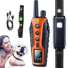 Hundeerziehung Anti-Bell