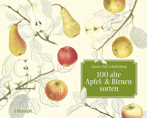 100 alte apfel und - alte,
