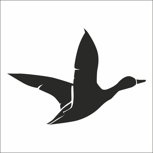 Aufkleber sticker ente - aufkleber,
