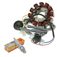 Lichtmaschine Stator 12 polig
