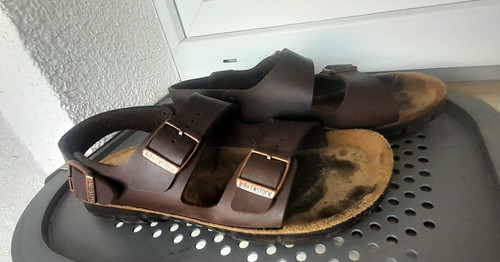 Birkenstock profi birki - profi,