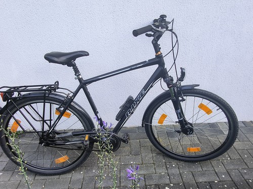 Trekkingrad zoll rixe - trekkingrad,