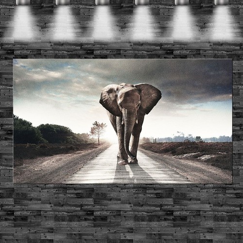 Xxl elefant auf der straße - xxl,