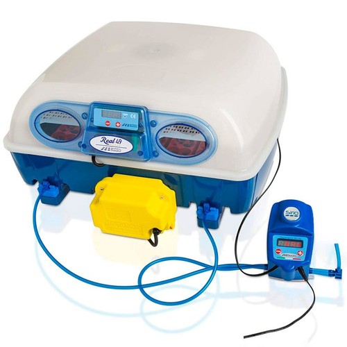 Borotto real expert - borotto,