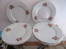 Rosenthal  Sanssouci Moosrose 8 Speiseteller Essteller 25 cm