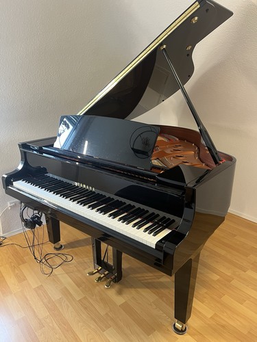 Yamaha c1x silent - yamaha,