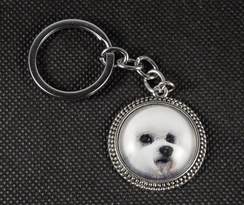 Hund schmuck ein silberner - schmuck.,