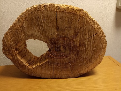 Baumscheiben holzscheiben - 1x,