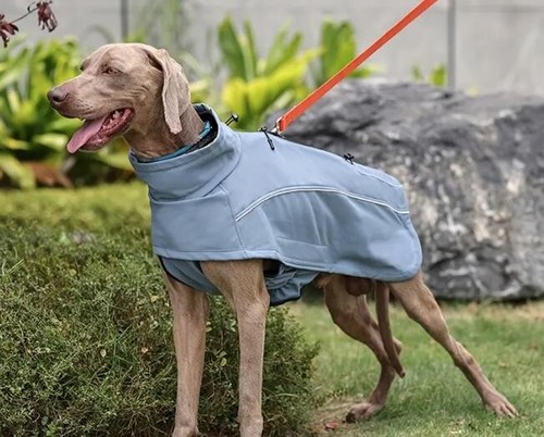 Wasserdichte hundejacke - wasserdichte,