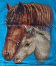 Pony T-Shirt Pferd Pferde Stute mit Fohlen Größe 98/104, 2-4 Jahre