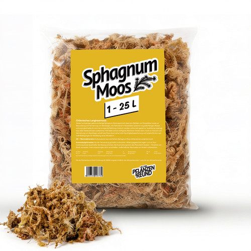 Sphagnum moos - moos, (chile)