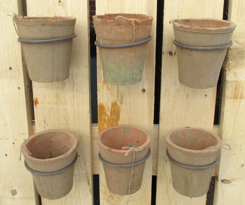 6er set blumentopf 5cm - blumentopf, Ø