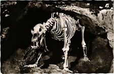 AK AK Pottenstein - Teufelshohle - Hohlenbar DEUTSCHLAND (918758)