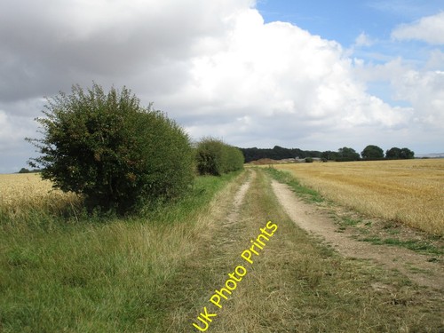 Foto 6x4 farm track nach - foto,
