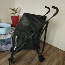 Schöner schwarzer Katzen /