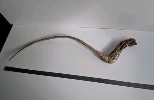 Lifesize chestburster - 1:1,
