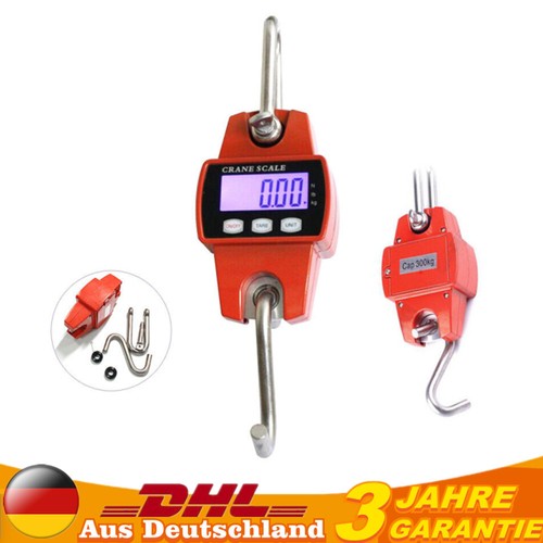 300kg 100g kranwaage zugwaage - 300kg/100g,