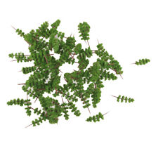 100 Modellbäume Z Spurweite