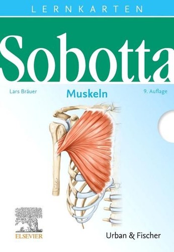 Sobotta lernkarten muskeln - sobotta,