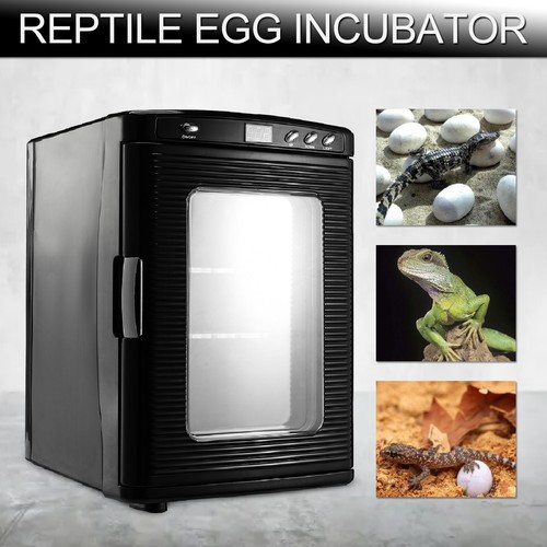 Reptilien inkubator brutkasten - reptilien,