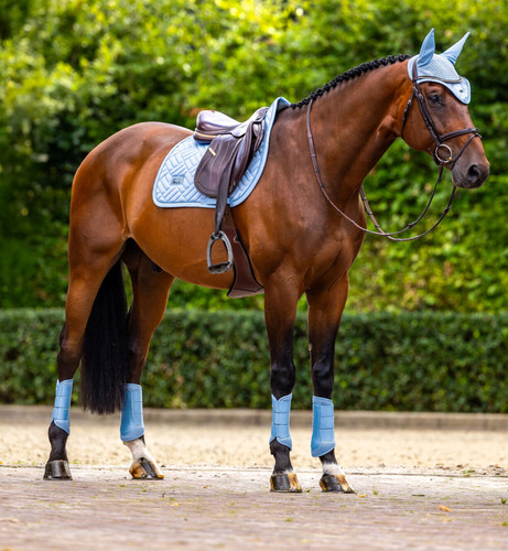 Equestrian stockholm midsummer - equestrian,