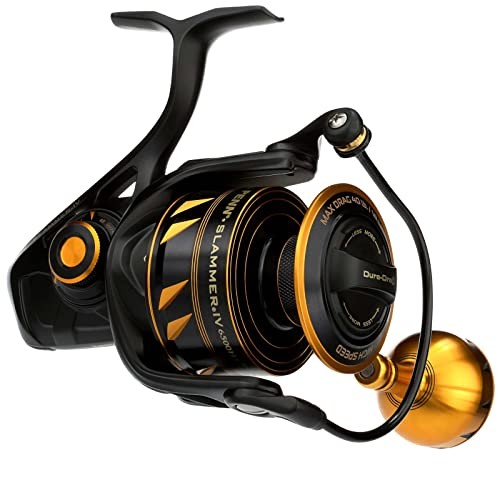Penn international slammer - international,