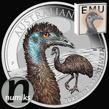 AUSTRALIAN EMU in Farbe - 2023