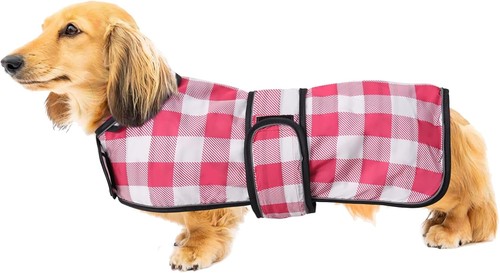 Geyecete hunde - geyecete,