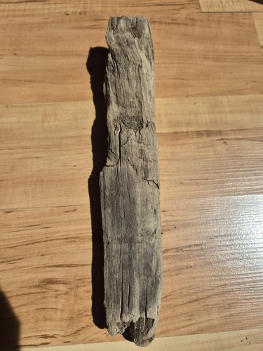 Sehr selten korios - korios, skulptur