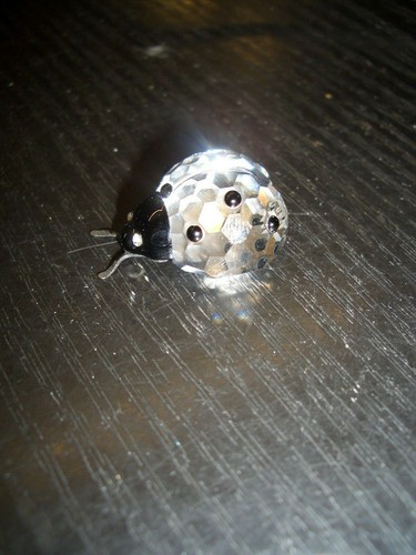 Swarovski marienkäfer cm - marienkäfer,