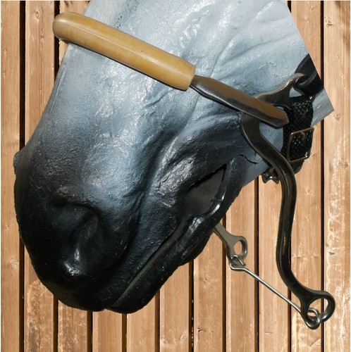 Waldhausen hackamore - waldhausen,
