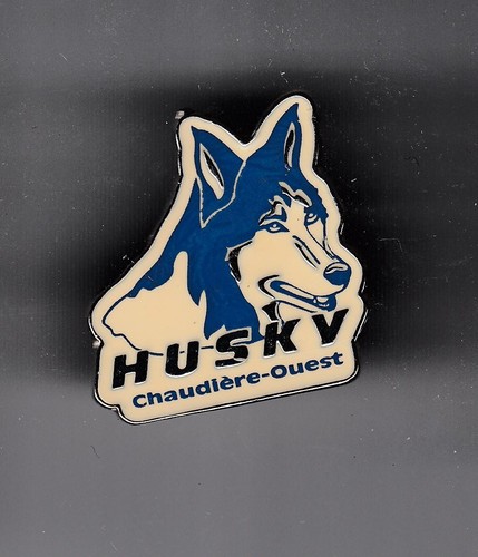 Eishockey pin emblem - eishockey,