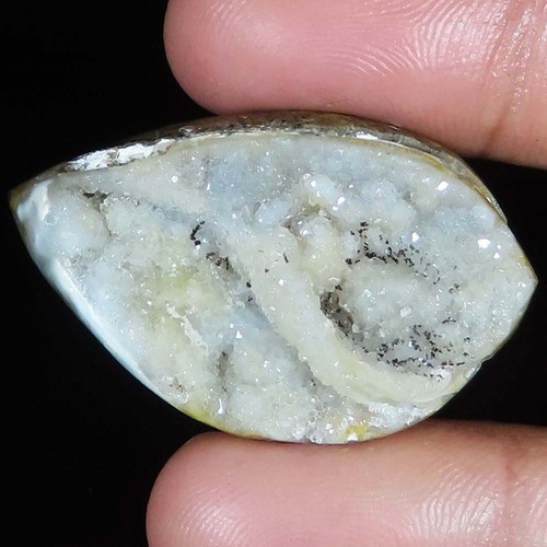 Natürlich fossil schnecke - natürlich,